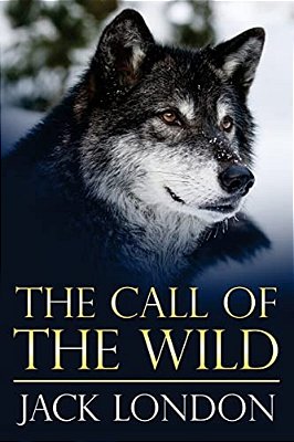 The Call Of The Wild: (Mockingbird Classics)-..