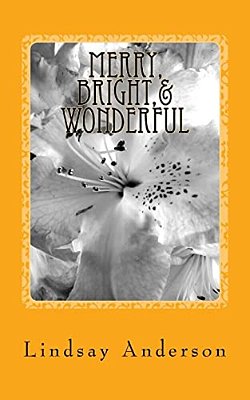 Merry, Bright,& Wonderful: A Beverly Black Novel-..