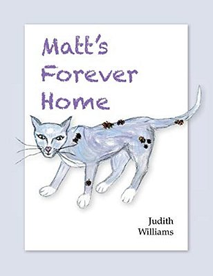 Matt's Forever Home-..