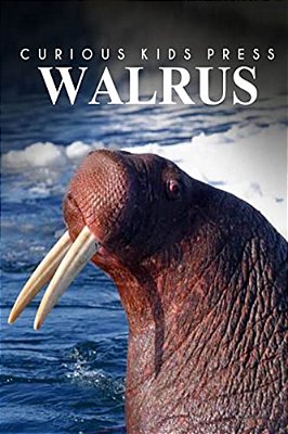 Walrus - Curious Kids Press-..