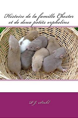 Histoire De La Famille Chester Et De Deux Petits Orphelins-..