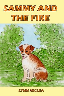 Sammy And The Fire-..