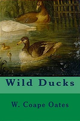 Wild Ducks-..
