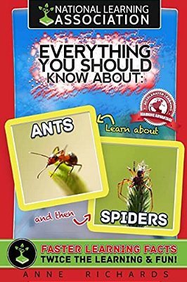 Everything You Should Know About: Ants And Spiders-..