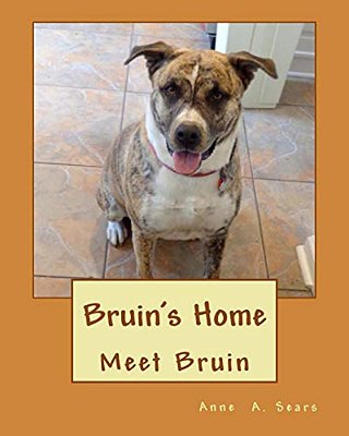Bruin's Home: Meet Bruin-..