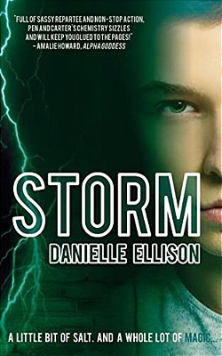 Storm (A Salt Novel)-..