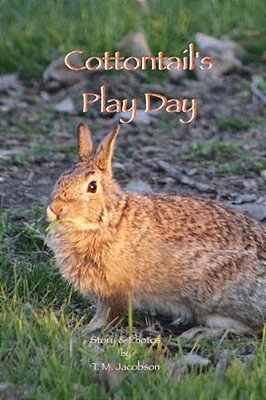 Cottontail's Play Day-..