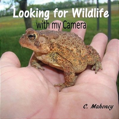 Looking For Wildlife With My Camera: Wildlife Facts And Nature Photos For Kids-..