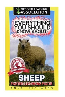 Everything You Should Know About: Sheep-..