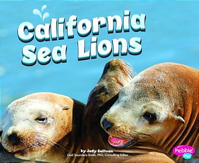 California Sea Lions-..