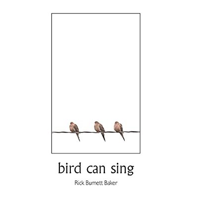 Bird Can Sing-..