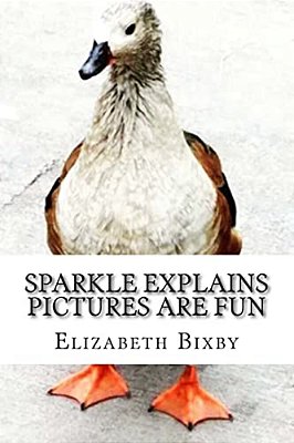Sparkle Explains Pictures Are Fun-..