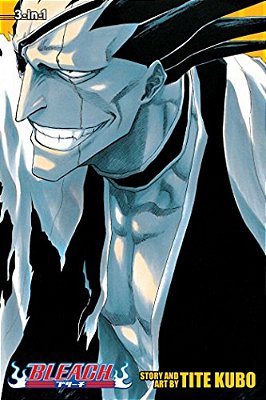 Bleach, Volumes 13-15-..