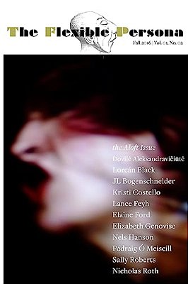 The Flexible Persona: Fall 2016-..