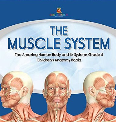 The Muscle System The Amazing Human Body And Its Systems Grade 4 Children's Anatomy Books-..