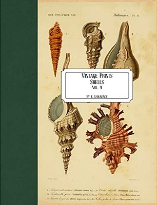Vintage Prints: Shells: Vol. 9-..