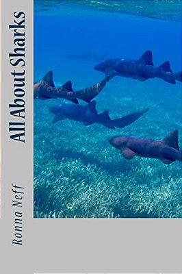 All About Sharks-..