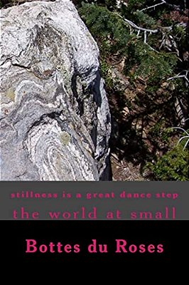Stillness Is A Great Dance Step: The World At Small-..