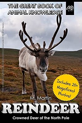 Reindeer: Crowned Deer Of The North Pole-..