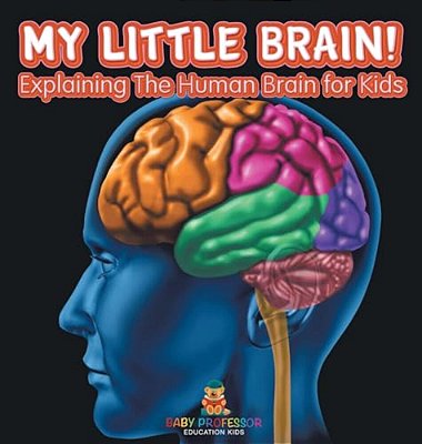 My Little Brain! - Explaining The Human Brain For Kids-..