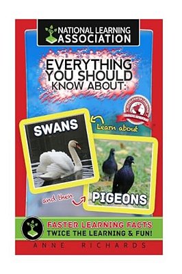 Everything You Should Know About: Swans And Pigeons-..