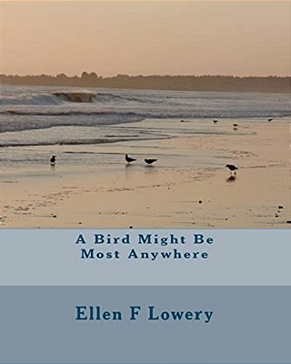 A Bird Might Be Most Anywhere-..