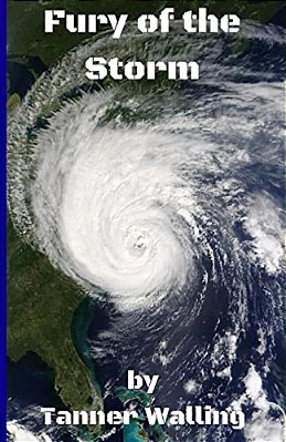 Fury Of The Storm-..