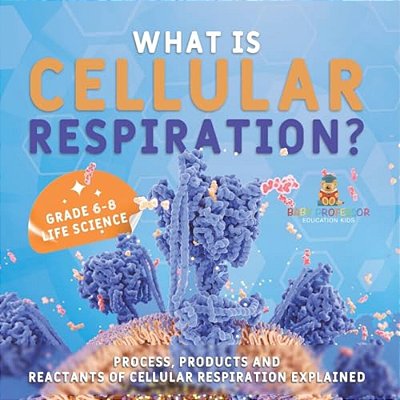 What Is Cellular Respiration? Process, Products And Reactants Of Cellular Respiration Explained Grade 6-8 Life Science-..