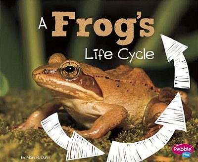 A Frog's Life Cycle-..