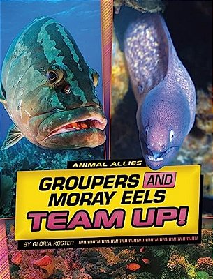 Groupers And Moray Eels Team Up!-..