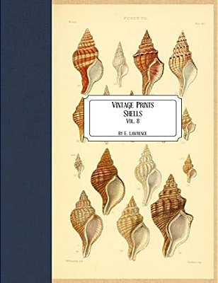 Vintage Prints: Shells: Vol. 8-..