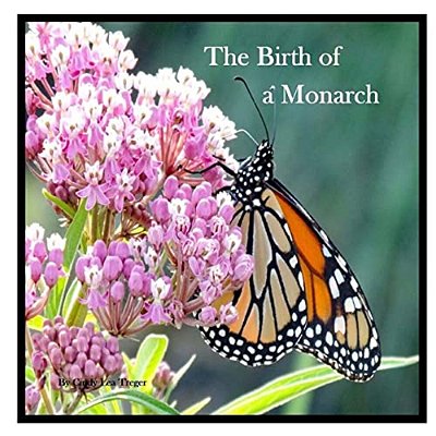 The Birth Of A Monarch: Metamorphosis Of A Monarch Butterfly-..