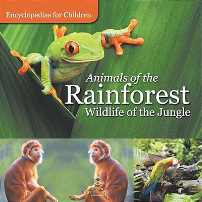 Animals Of The Rainforest Wildlife Of The Jungle Encyclopedias For Children-..