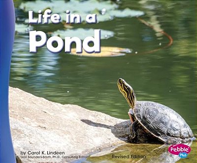 Life In A Pond-..
