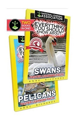 Everything You Should Know About: Swans And Pelicans-..