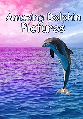 Amazing Dolphin Pictures: 100 Photos Of Dolphins-..