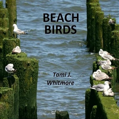 Beach Birds-..