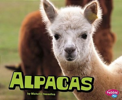 Alpacas-..
