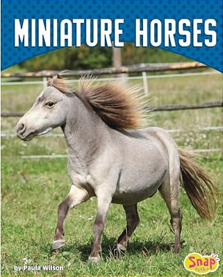 Miniature Horses-..
