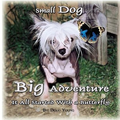 Small Dog - Big Adventure: It All Started With A Butterfly-..