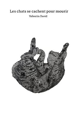 Les Chats Se Cachent Pour Mourir-..