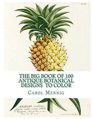 The Big Book Of 100 Botanical Designs To Color-..