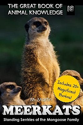 Meerkats: Standing Sentries Of The Mongoose Family-..
