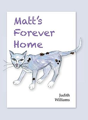 Matt's Forever Home-..