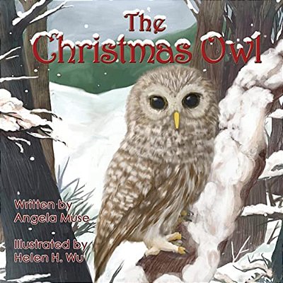 The Christmas Owl-..