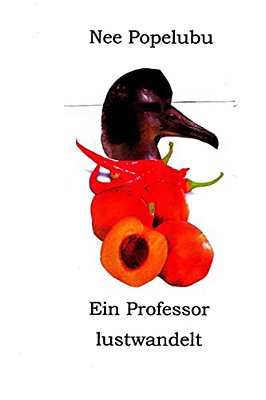 Ein Professor Lustwandelt-..