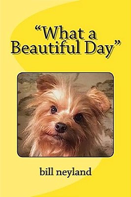 "What A Beautiful Day"-..