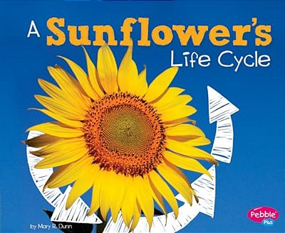 A Sunflower's Life Cycle-..