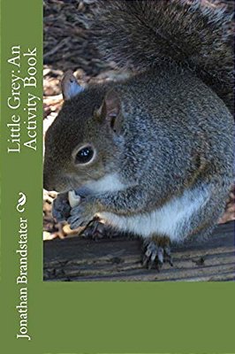 Little Grey: An Activity Book-..