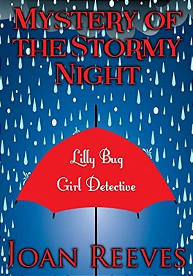 Mystery Of The Stormy Night: Lilly Bug, Girl Detective, Mystery-..